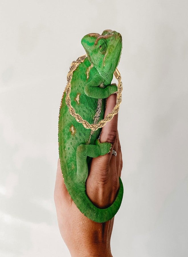 BCOATH Reptile Crown Hat and Necklace Set for Small Pets - Lightweight Costume Accessory for Lizards Bearded Dragons Festival Photo Props - Image 5